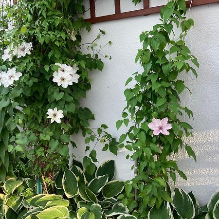 Casa Blanca Apartment Jastarnia Exterior photo